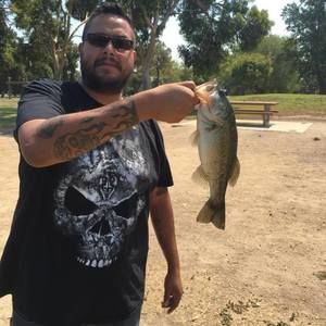 Meet your Posher, Raul